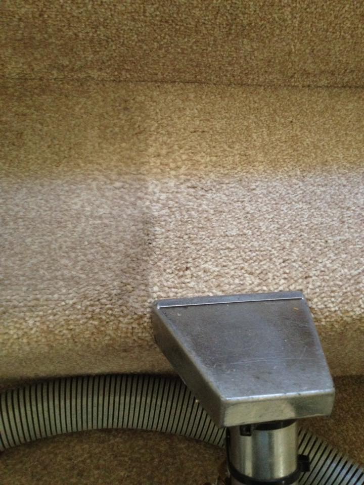 carpet stairs fawn