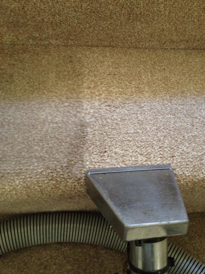 carpet stairs fawn carpet stairs fawn
